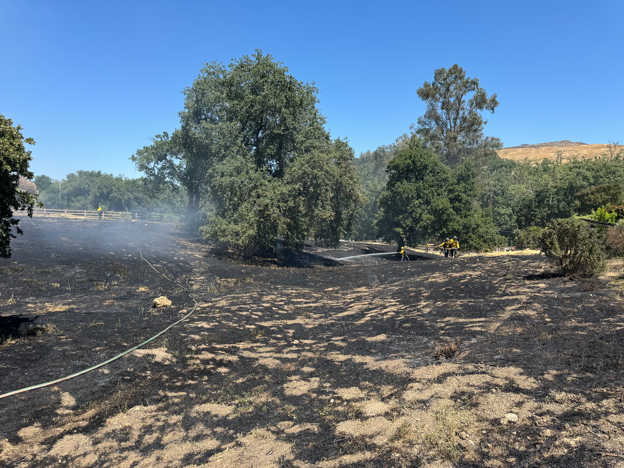 Los Gatos Homeowner Prevents the Spread of Fire by Creating Defensible Space